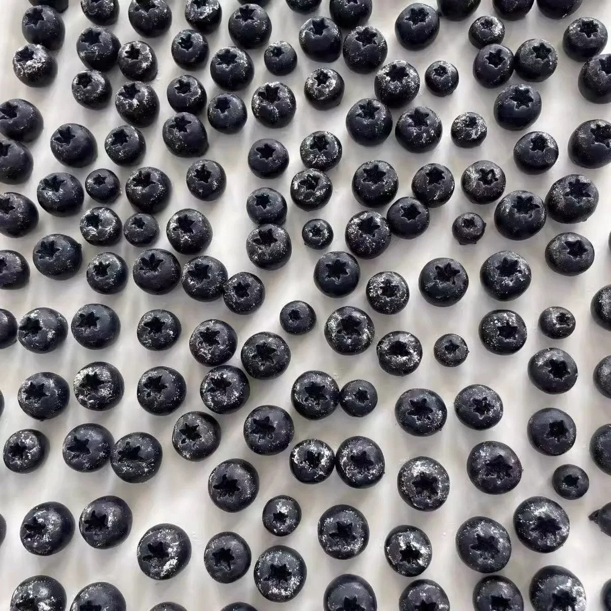 Mini Fruit Mixes